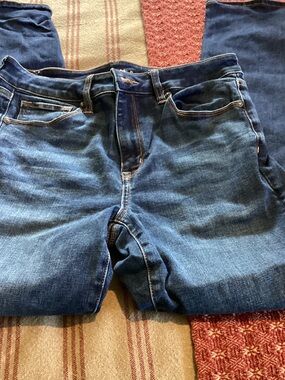 American Eagle  Hi rise Skinny Kick next level stretch 10/short